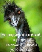 8a984be50403e519928cd9d1a8ef27bd.jpg
