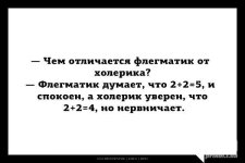 1002903.jpg