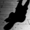Shadows